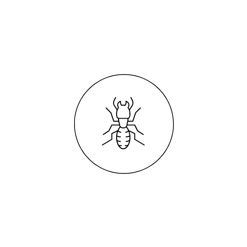 Termite Logo
